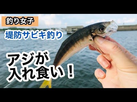 【ビギナー釣り女子】アジが入れ食い😆強風の堤防で、サビキ釣りに挑戦！