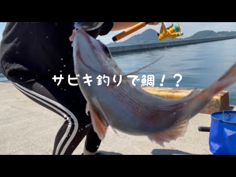 【釣りガール】サビキ釣りで鯛！？‪🎣‬‬