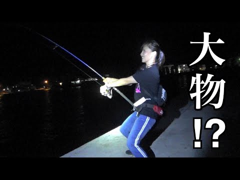 これはアカン。夜、串本の堤防でサビキ釣りと泳がせ釣りをした結果・・・。
