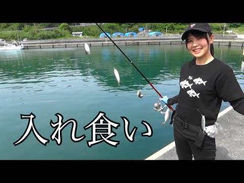串本町の堤防でのんびりサビキ釣り＆泳がせ釣りをしてみたら・・・